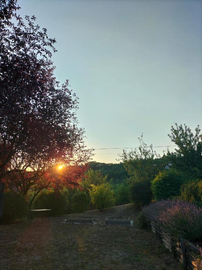 Sotto La Luna Bruna B&B Cocconato Luaran gambar