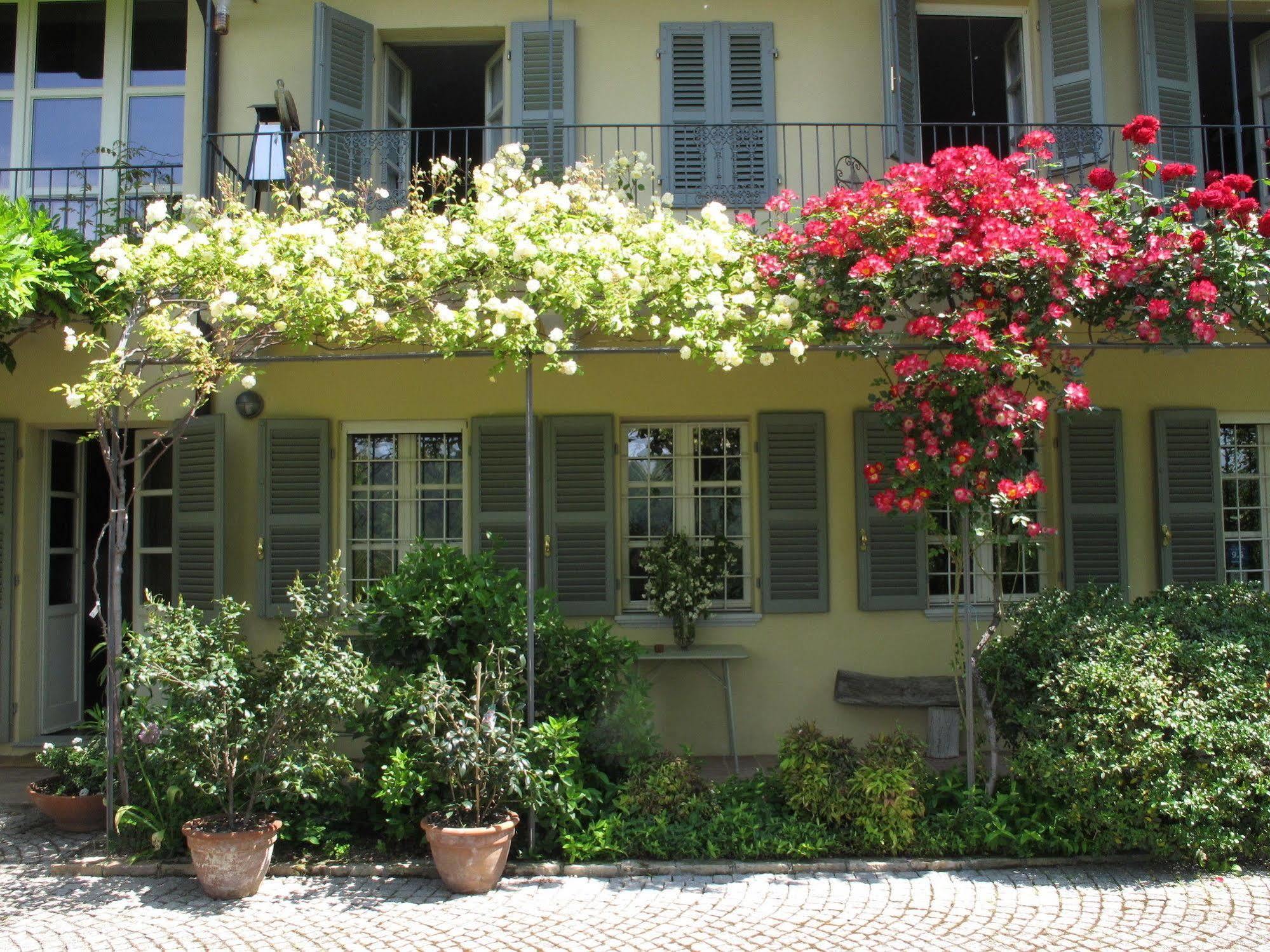 Sotto La Luna Bruna B&B Cocconato Luaran gambar