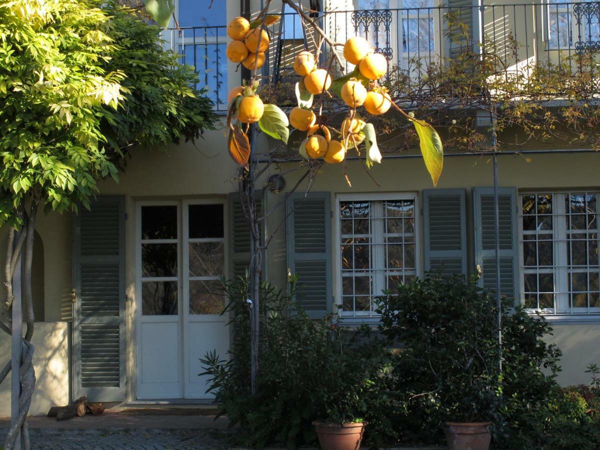 Sotto La Luna Bruna B&B Cocconato Luaran gambar